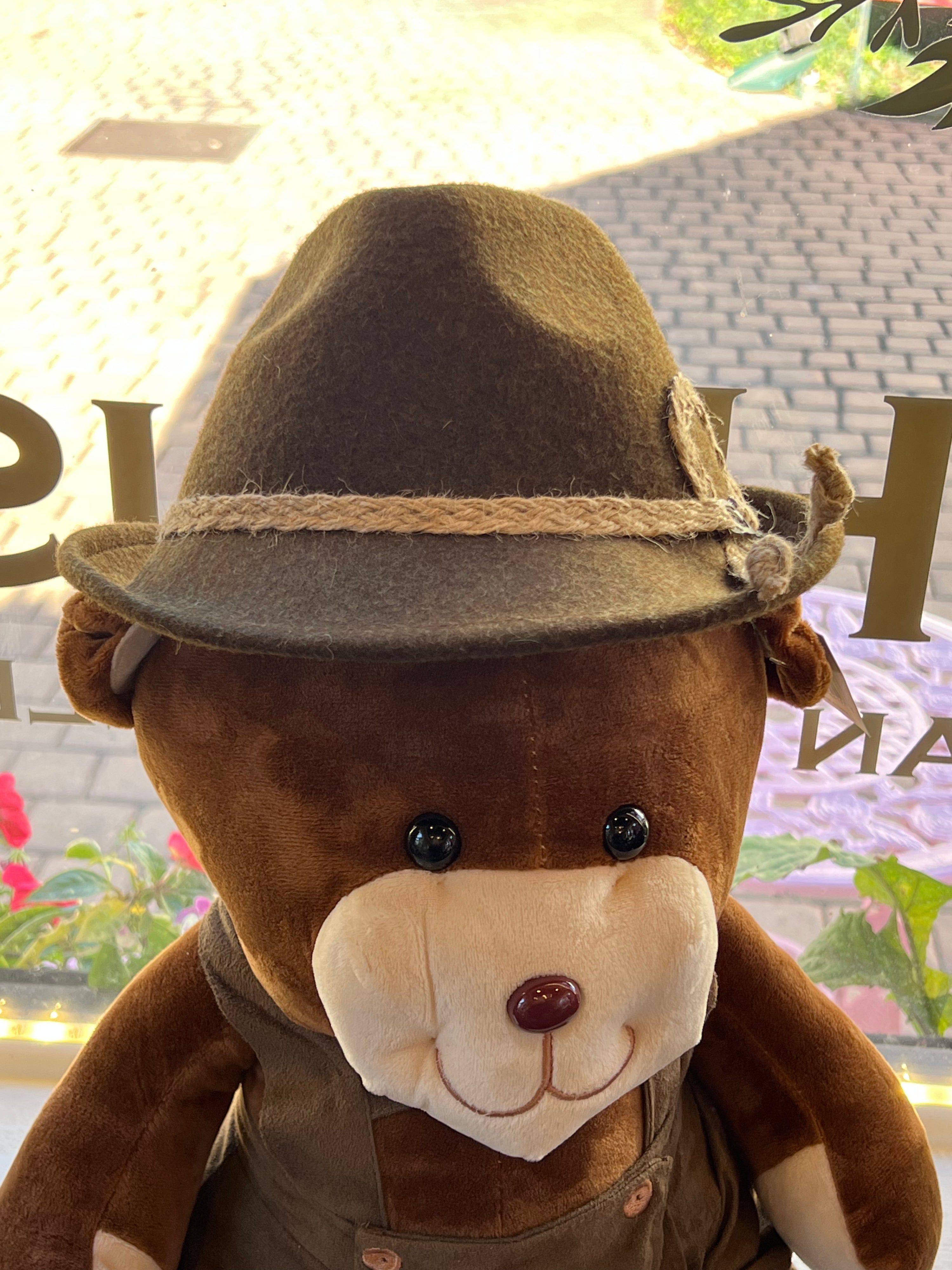 Isar Boys Hat (brown in stock)