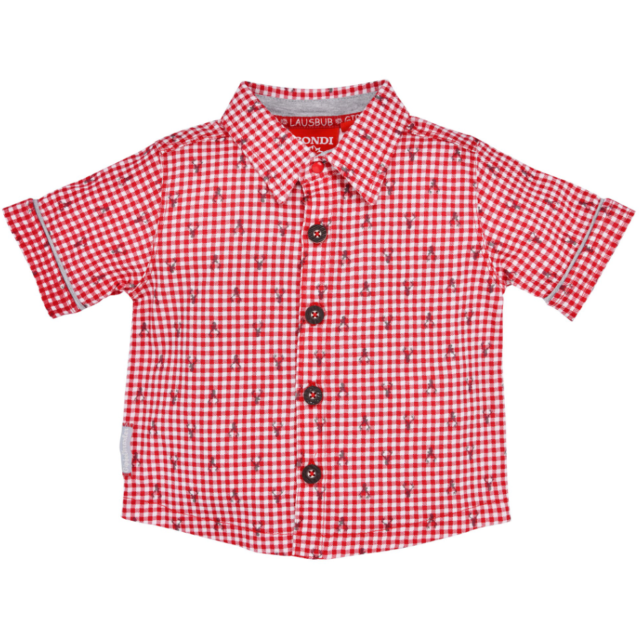  Boys Shorts Sleeve Shirt